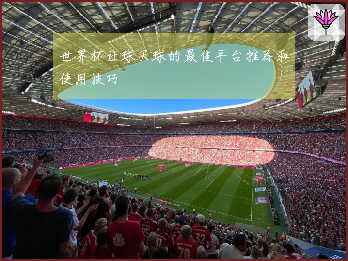世界杯让球买球的最佳平台推荐和使用技巧